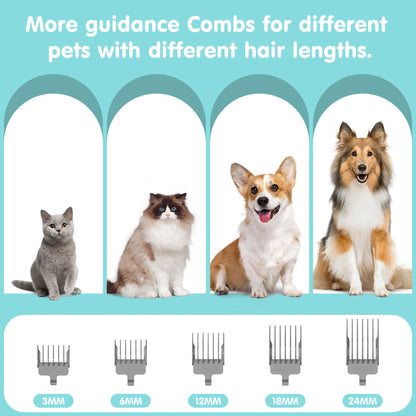Transform Your Pet Grooming Experience with the Professional 6-In-1 Dog Grooming Vacuum Kit - Unmatched 11000PA Suction Power and 1.5L Capacity for Effortless Hair Removal and Complete Grooming Solutions